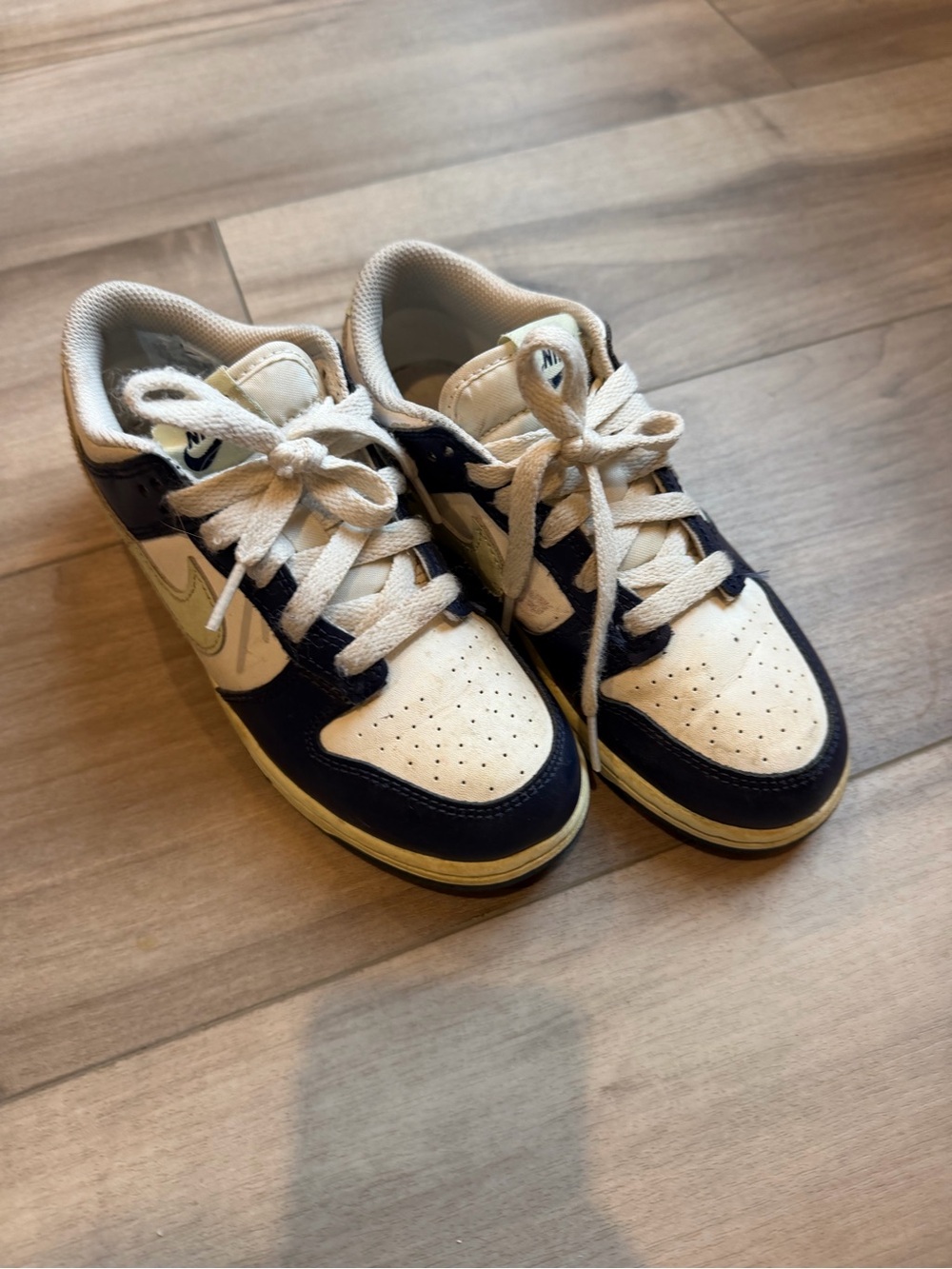 Nike Kids Dunk
